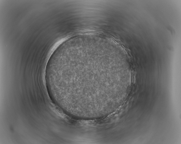 X0000110880147200907301441