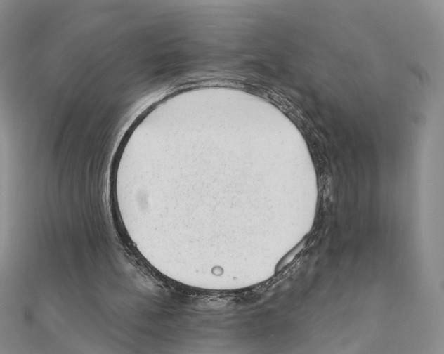 X0000110880148200907301441