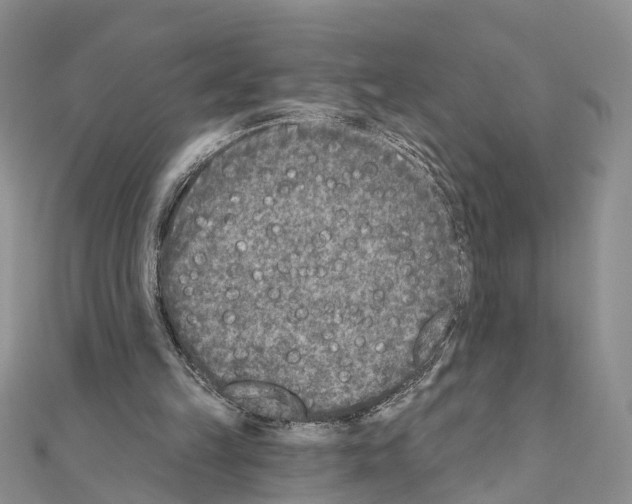 X0000110880149200907301441