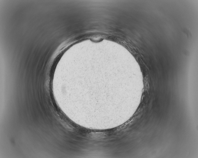 X0000110880150200907301441