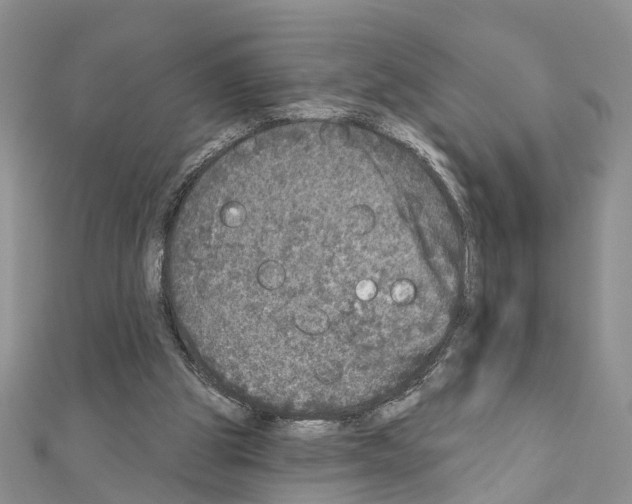 X0000110880153200907301441