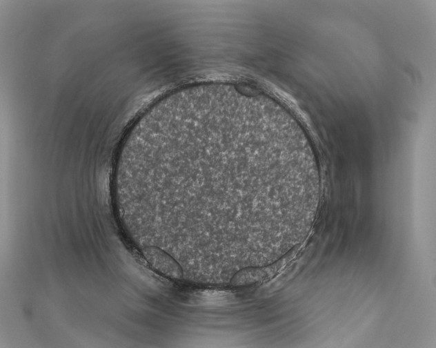 X0000110880154200907301441