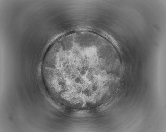 X0000110880155200907301441