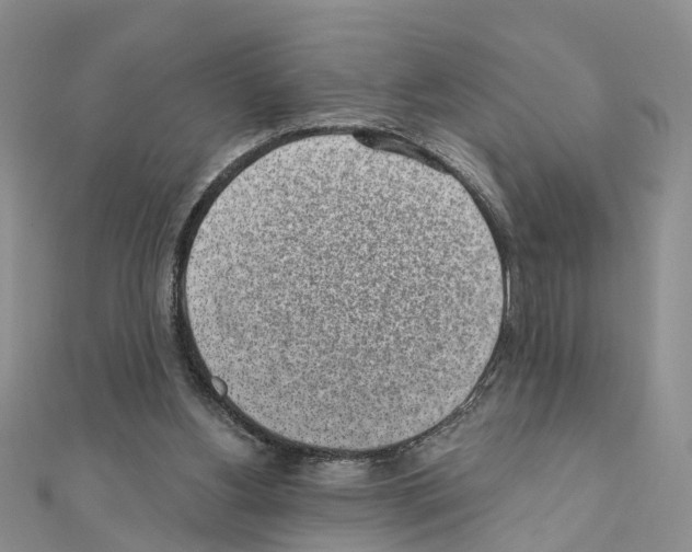 X0000110880156200907301441