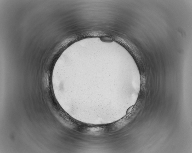 X0000110880158200907301441