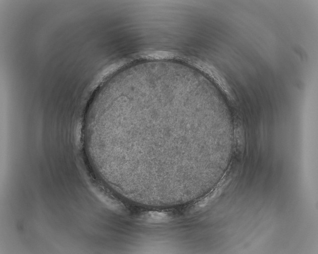 X0000110880159200907301442