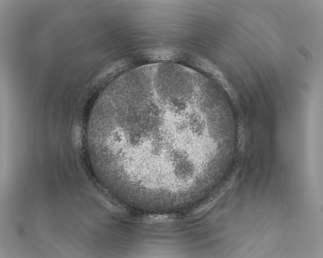 X0000110880161200907301442