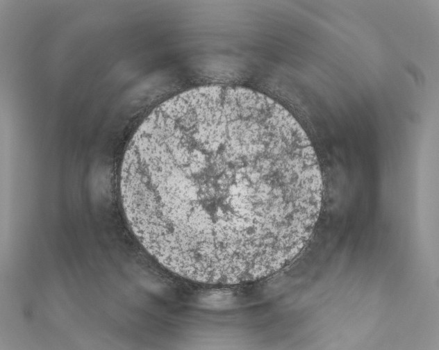 X0000110880162200907301442