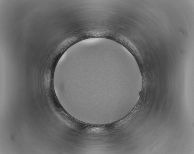 X0000110880163200907301442