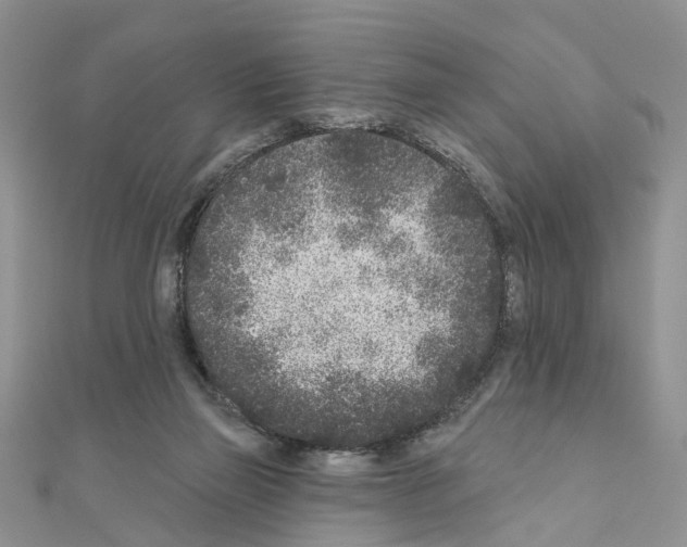 X0000110880165200907301442