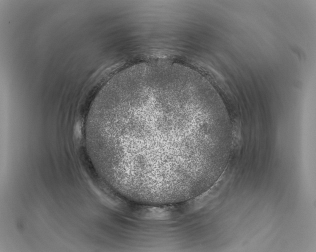 X0000110880166200907301442