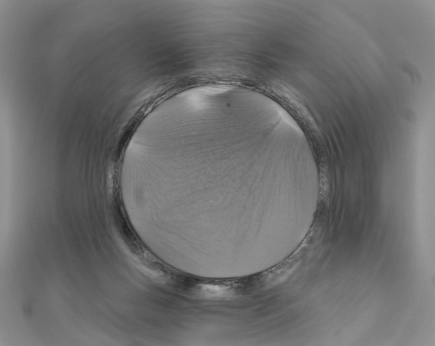 X0000110880167200907301442