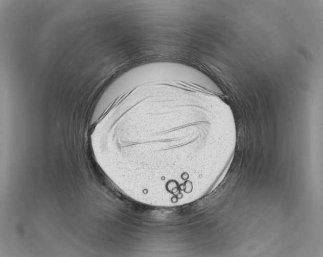 X0000110880172200907301442