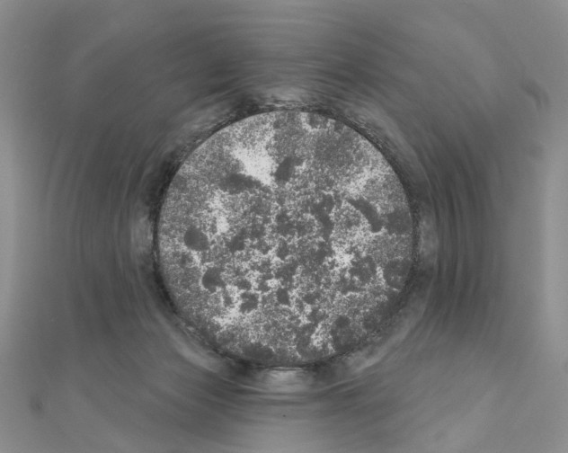 X0000110880173200907301442