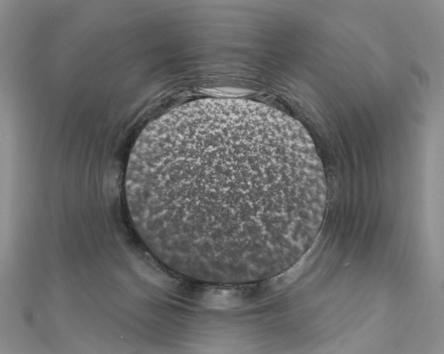 X0000110880174200907301442