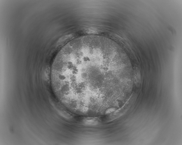 X0000110880175200907301442