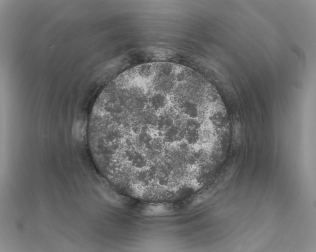 X0000110880177200907301442