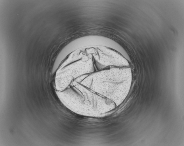 X0000110880180200907301442