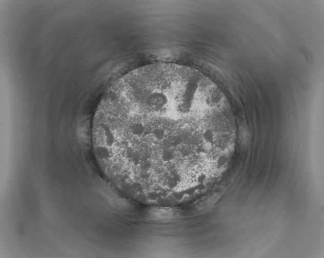 X0000110880181200907301442