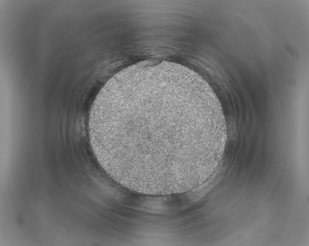 X0000110880182200907301442