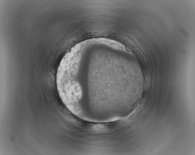 X0000110880183200907301442