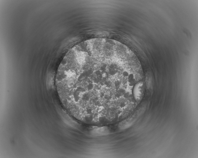 X0000110880185200907301442