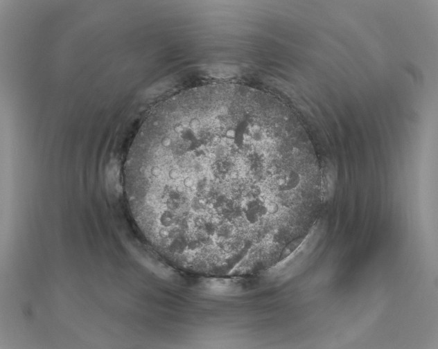 X0000110880187200907301442