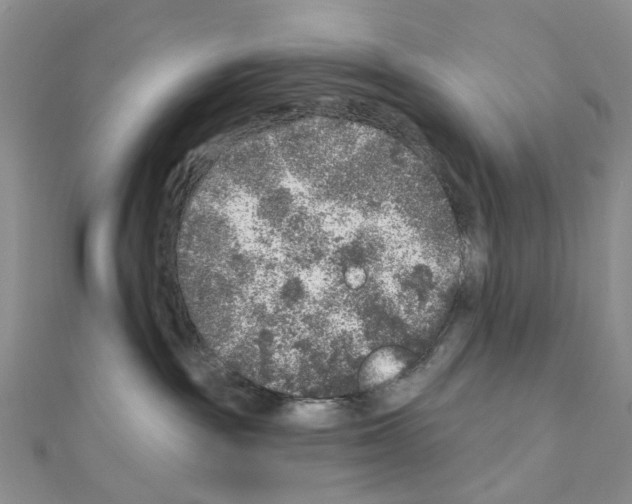 X0000110880189200907301442