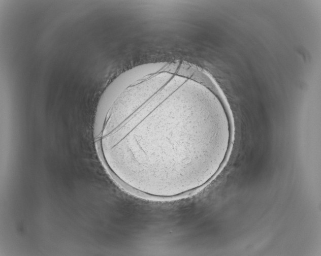 X0000110880192200907301442