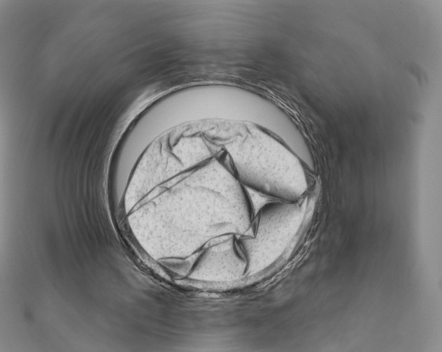 X0000110880195200907301441