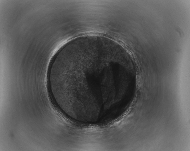 X0000110880196200907301441