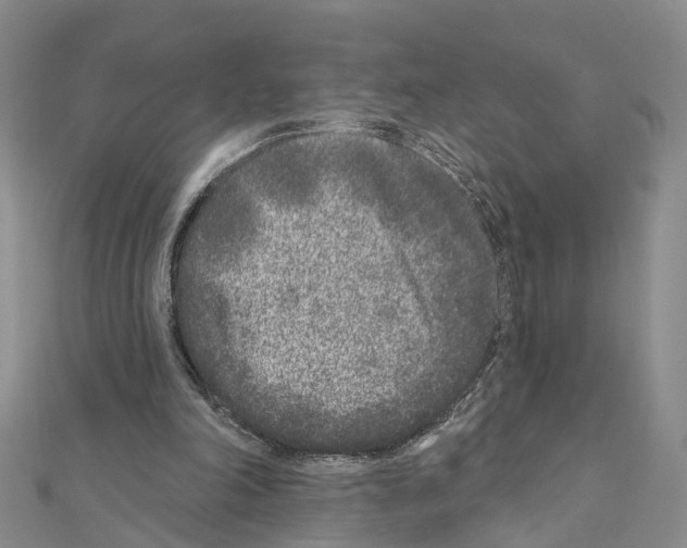 X0000110880198200907301441