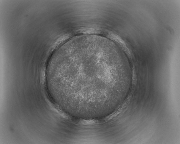 X0000110880202200907301441