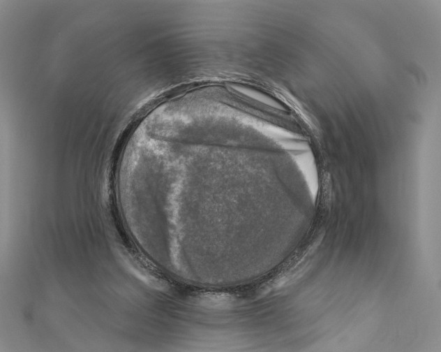 X0000110880203200907301441