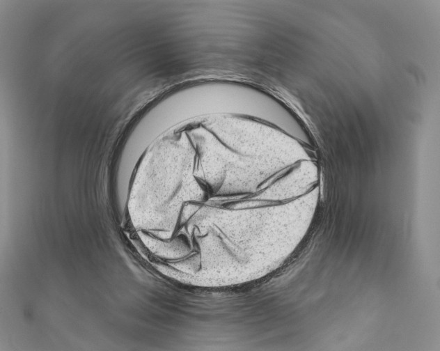 X0000110880205200907301441