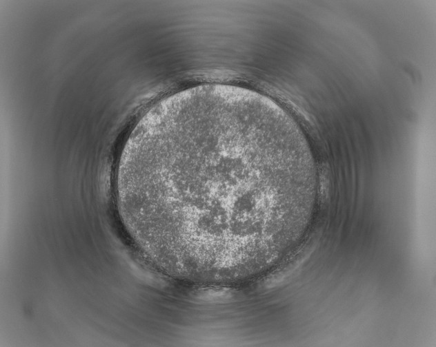 X0000110880206200907301441