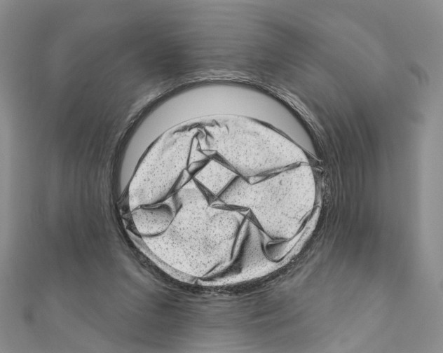 X0000110880207200907301441