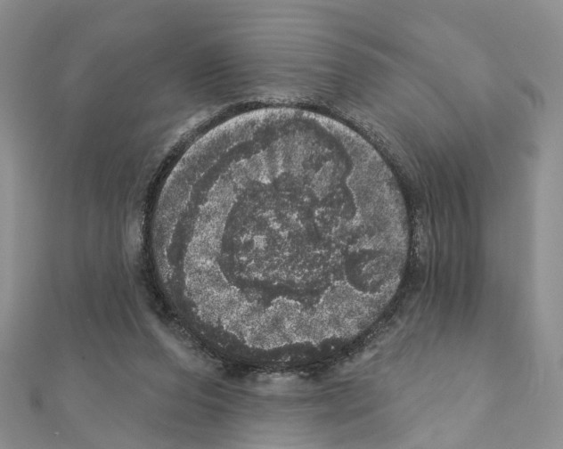 X0000110880208200907301441