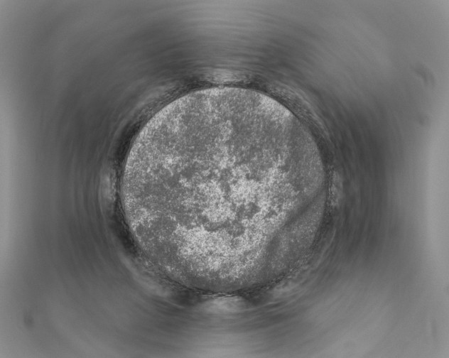 X0000110880210200907301441