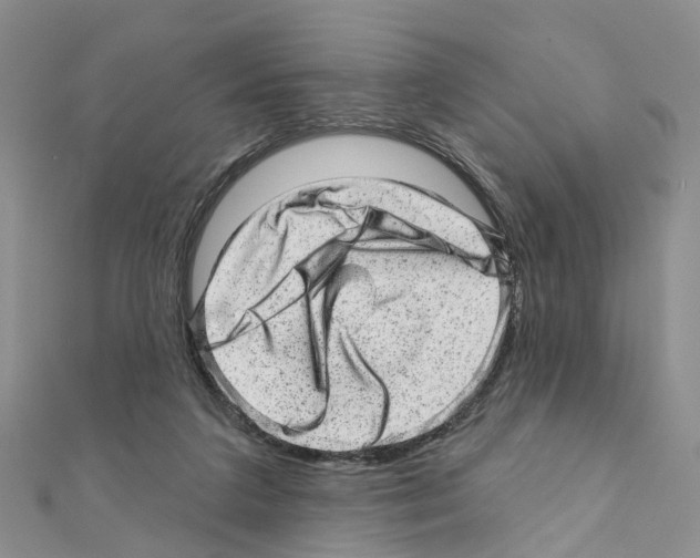 X0000110880211200907301441