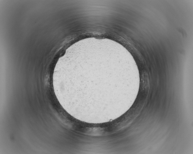 X0000110880212200907301441