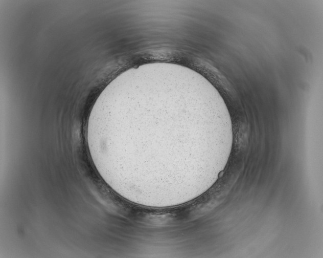 X0000110880213200907301441