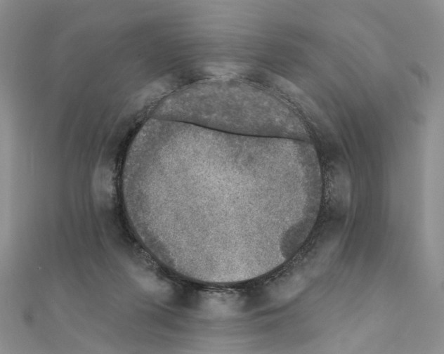 X0000110880215200907301441