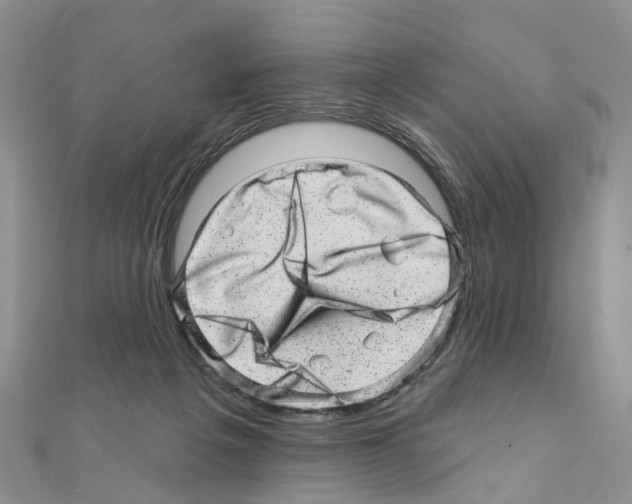 X0000110880217200907301441