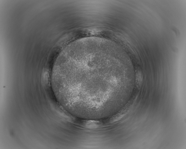 X0000110880222200907301441