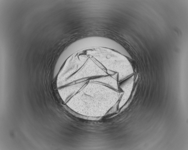 X0000110880223200907301441