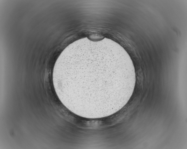 X0000110880225200907301441