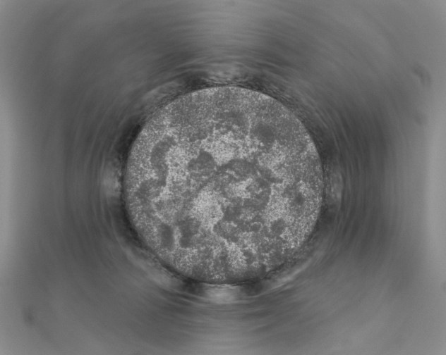 X0000110880226200907301441