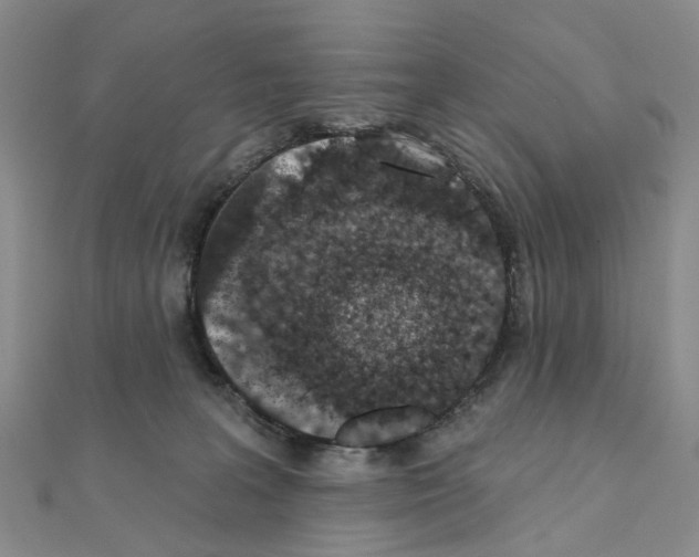 X0000110880227200907301441