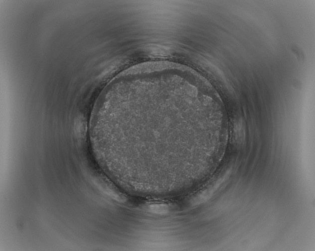 X0000110880228200907301441